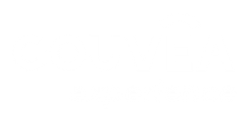 Gouvêa Experience
